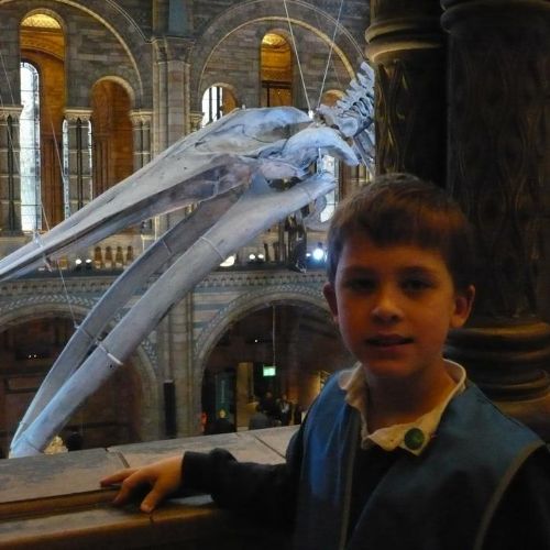 Year 6 Visit the Natural History Museum