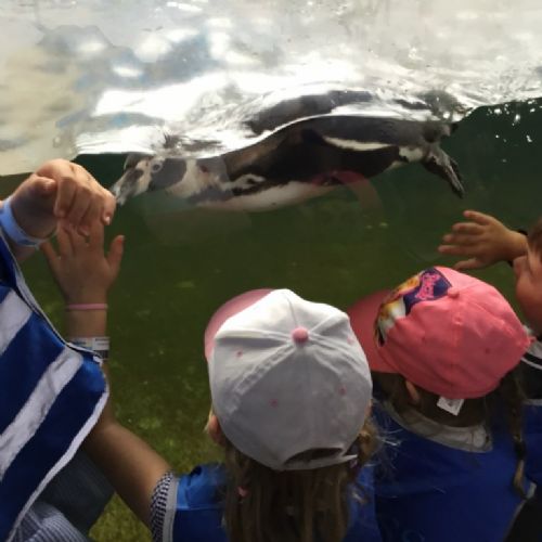 EY Visit Southend Aquarium