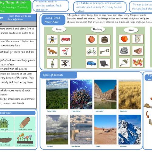 Year2LivingThingstheirHabitats