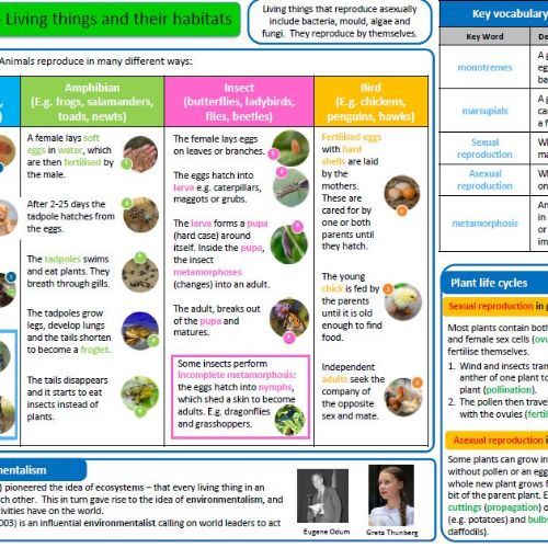 Year5LivingThingsandtheirHabitats