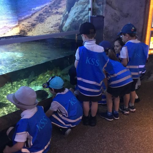 EY Visit to the Sealife Centre