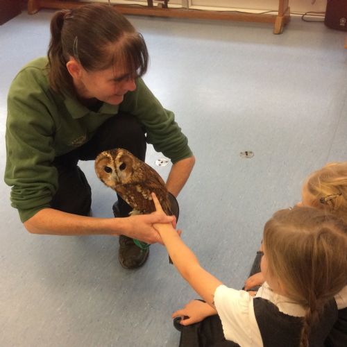 Owls Visit Early Years