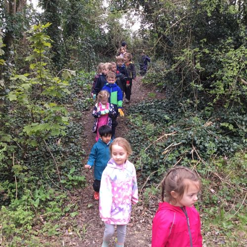 Dolphin Class at Forest School