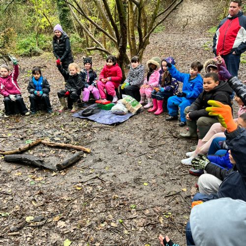 Grey Falcons at Forest School