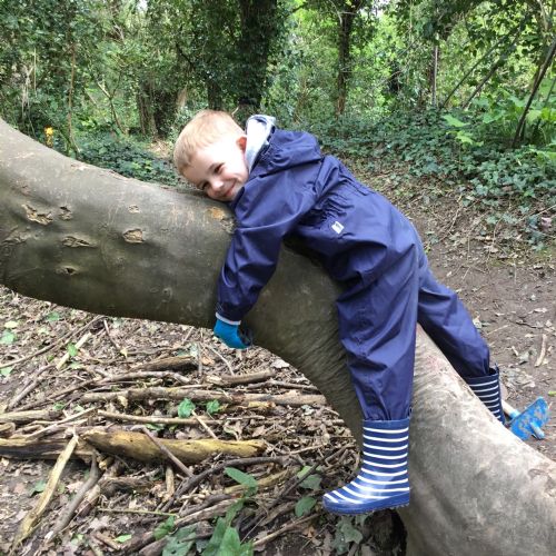 Dolphin Class at Forest School