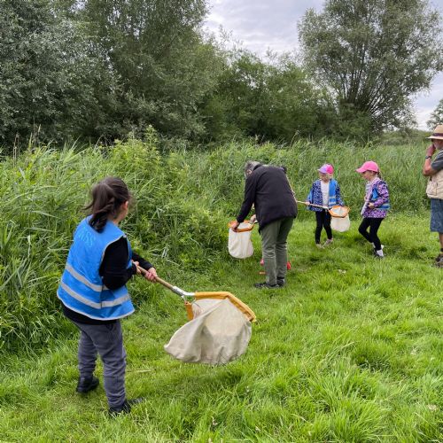 Year 2 Visit Wicken Fen