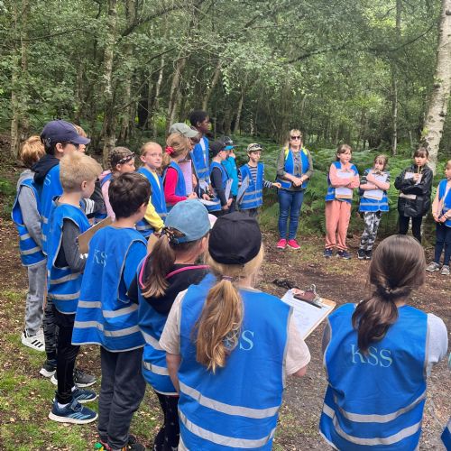 Year 5 Trip to Epping Forest