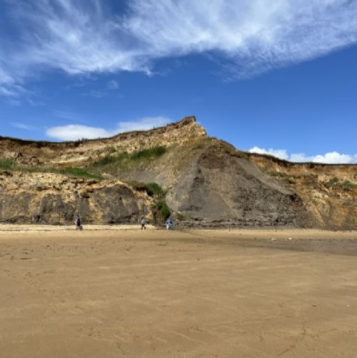 Year 3 Visit Walton-on-the-Naze