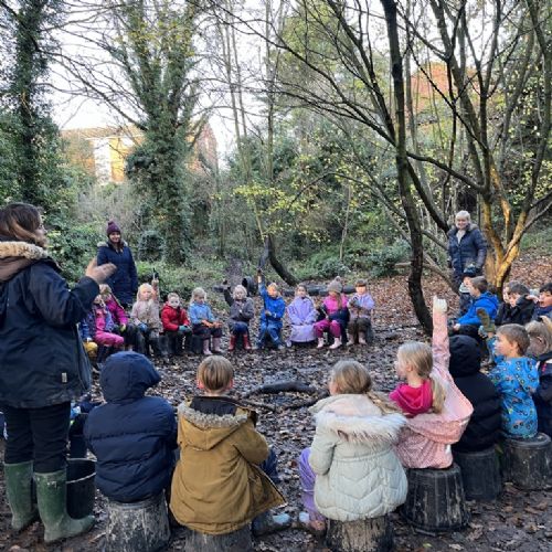 Grey Falcons at Forest School