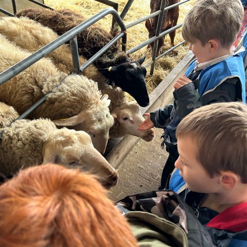 Year 1 Visit Boydells Farm