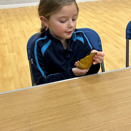 IMG1771