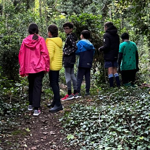 Year Six Forest School