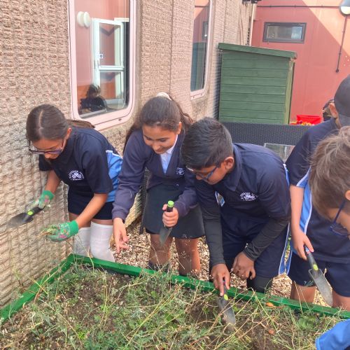 Year six gardening