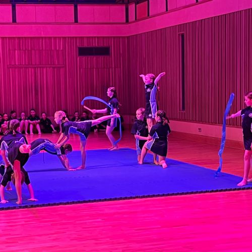 Gym & Dance Festival