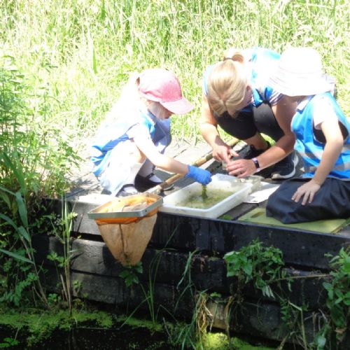 Year 2 Visit Wicken Fen