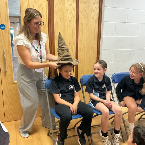 Sorting Hat Assembly