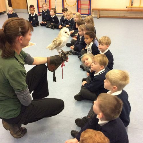 Owls Visit Early Years