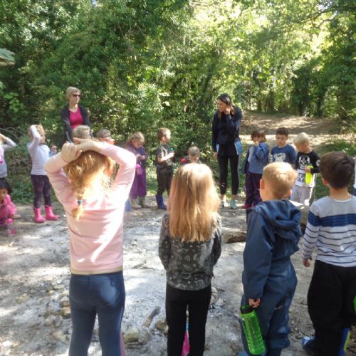 Year 1 at Forest School